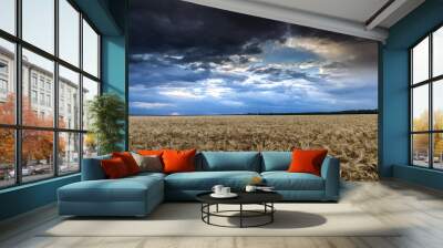 dark dramatic field and sky landscape Wall mural