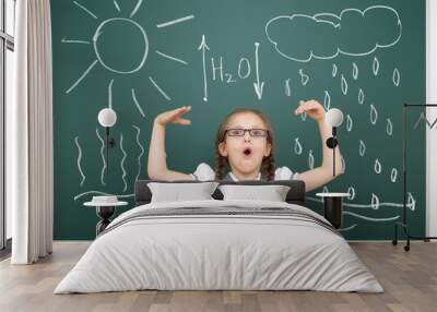 girl drawing water circulation on school board Wall mural