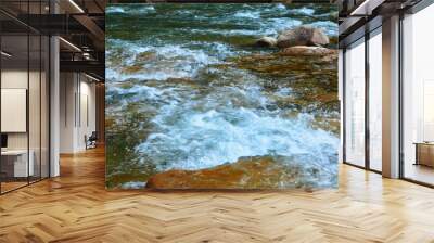 landscape, beautiful view of mountain river in summer day, fast flowing water and rocks, wild nature Wall mural