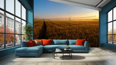 Agricultural irrigation system watering wheat field in summer Wall mural