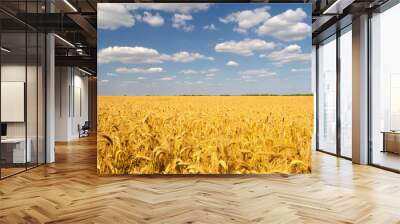 Beautiful summer landscape showing wheat field with blue sky and white clouds on a sunny day Wall mural