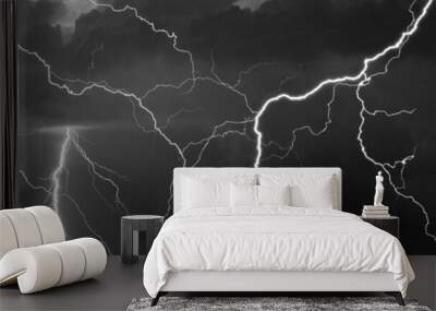 Fork lightning striking down during summer storm in black and white Wall mural