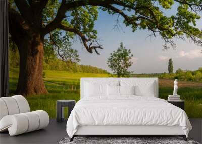 Summer landscape showing huge oak and country road on beautiful sunny day Wall mural