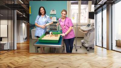 Women veterinarians examining porpoise pet in veterinary clinic Wall mural