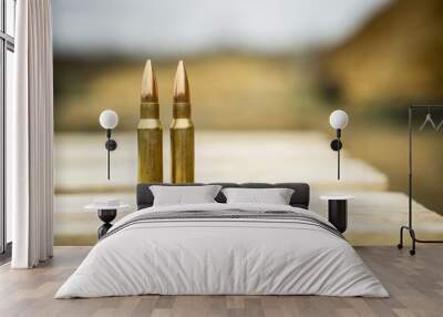 308 caliber ammunition for a rifle standing on a wooden table on the background of the shooting range Wall mural