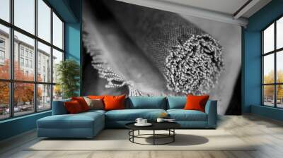 black and white photo of frayed tatty rolled up textile rug, coarse fabric Wall mural