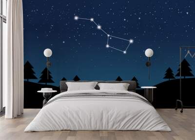 Vector illustration of Ursa Major constellation on the background of starry sky and night landscape Wall mural