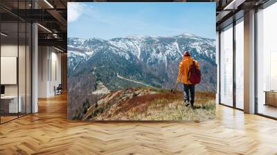 Dressed bright orange jacket backpacker walking by blueberry field using trekking poles with mountain range background, Slovakia. Active people and European mountain hiking tourism concept image. Wall mural