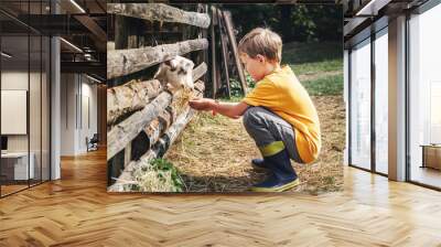 Holidays in the country - little boy feeds a goat Wall mural