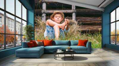 Lazy boy lies in grass under the barn - careless summer on countryside Wall mural