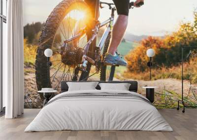 Mountain biker ride down from hill. Close up wheel image. Active and sport leisure concept Wall mural