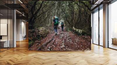 Two backpackers walk in fairy tale forest Wall mural