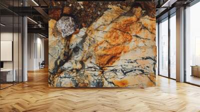 rocks. mountainside. stone and ground texture. Wall mural