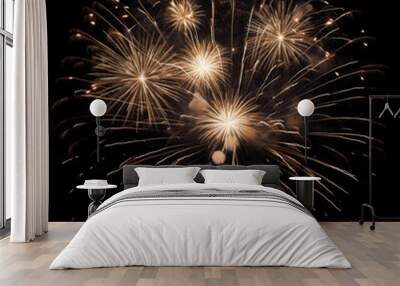 DIfferent colros and types of fireworks in the sky background Wall mural