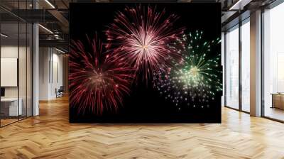 DIfferent colros and  types of fireworks in the sky background Wall mural