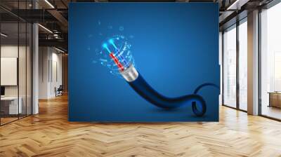 Fiber optic cable Wall mural