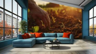 Expert female farmer collects soil and checks soil health before planting vegetable seeds or seedlings. Wall mural