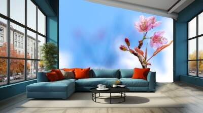 Cherry blossom against blue sky and white clouds Wall mural