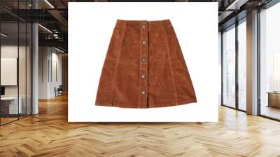 Brown skirt flat lay. Fashion concept. Isolate on white background. Wall mural