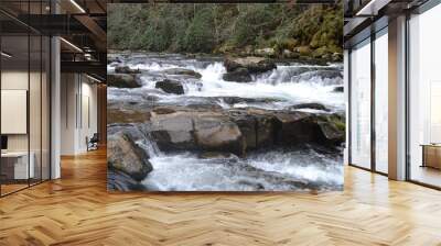 Rushing water over rocks Wall mural