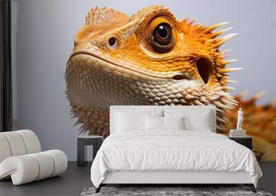 A dragon lizard, for reptile lovers. Wall mural