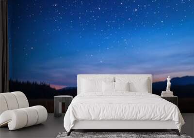 A warm campfire burns brightly under a starry night sky  illuminating the surrounding forest and mountains The scene evokes a sense of peace and tranquility  perfect for a relaxing evening outdoors Wall mural