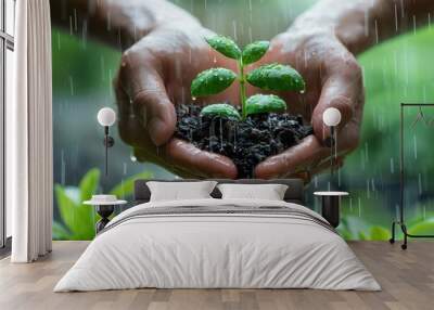 High resolution image, focus on two hands holding seedlings Surrounded by falling raindrops, environmental conservation theme Wall mural