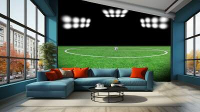 football, stadium, soccer, field, background, crowd, crowded, sp Wall mural