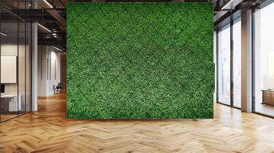 texture of green grass Wall mural