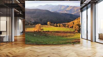 Cows in meadow mountains  at  Cahecho,Cantabria, north of Spain Wall mural