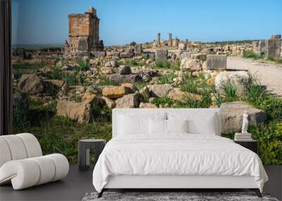 Volubilis ruins, a partly-excavated Berber-Roman city that may have been the capital of the Kingdom of Mauretania, situated near the city of Meknes, Morocco Wall mural