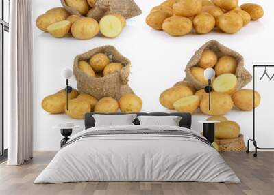  potato isolated on white background Wall mural