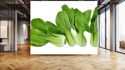 Bok choy vegetable on transparent png Wall mural