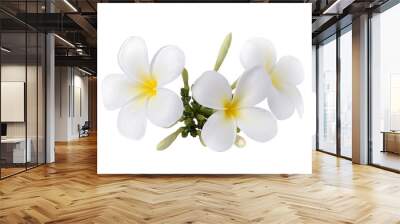 frangipani flower isolated on transparent png Wall mural