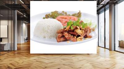 Fried Pork with Rice on transparent png Wall mural