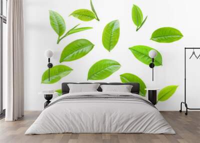 green tea leaf  on transparent png Wall mural