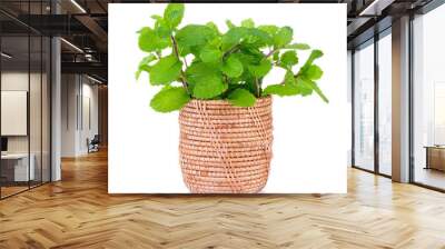 mint in the basket on white background Wall mural