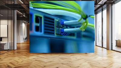 network optical fiber cables and hub Wall mural