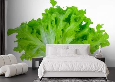 Salad leaf. Lettuce isolated on white background Wall mural