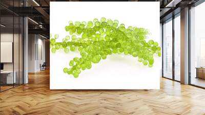 Sea grapes ( green caviar ) seaweed on white background Wall mural