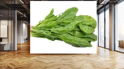 spinach on  transparent png Wall mural