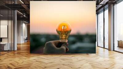 Hand business man holding light bulb. Alternative energy, idea, saving electricity innovation and inspiration concepts.	
 Wall mural