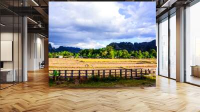 Rice filed with Lao farm agriculture  Wall mural