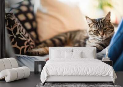 A tabby cat sprawls comfortably beside a person typing on a laptop while relaxing on a couch in a warm, inviting living area Wall mural