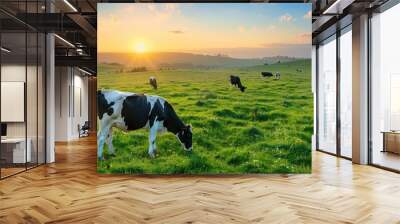 Cows grazing in a vast green meadow. Wall mural