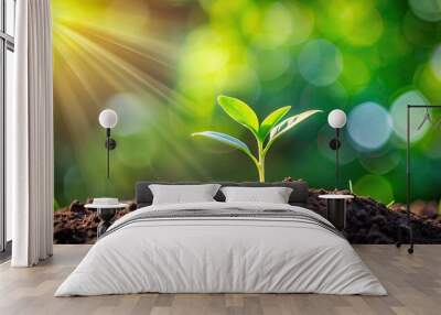 Small green plant growing in sunlight with natural background, Plant, green, growth, sunlight, garden, eco-friendly Wall mural