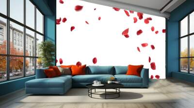 Rose petals or sakura flying petals, romantic background with realistic pink cherry flower petals flow or falling motion. Love, romance, floral spring season Wall mural