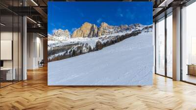 Ski resort in Dolomites, Carezza ski ,Italy Wall mural