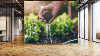 Hand Watering Fresh Vegetables in a Garden Bed Wall mural