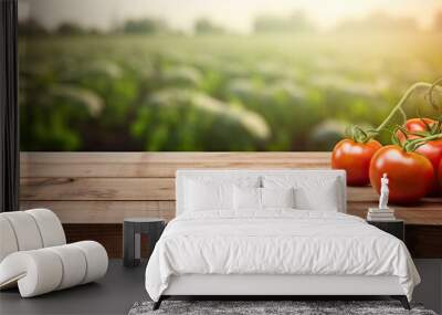 Tomato field background with wooden table top in daylight. Wall mural